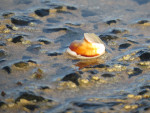 Bretonisches Kleinod im Abendleuchten